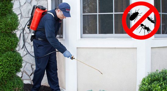 Kiğı Böcek ve Haşere İlaçlama böcek ilaçlama ve haşere kontrolü — ilaclama-tr.com